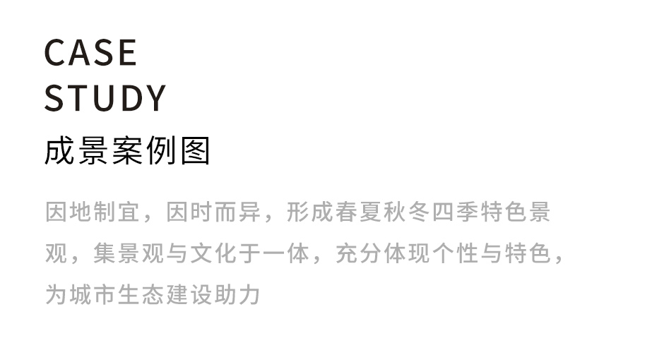 樹圍藝術(shù)花箱_20