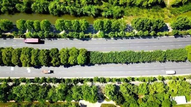 點(diǎn)贊南通港閘區(qū)：一街一景觀，一路一特色！