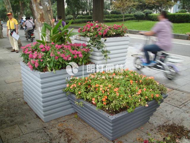 為南京點(diǎn)贊！擦亮生態(tài)之城名片！