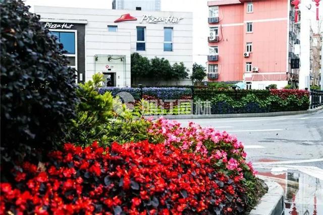 為南京點(diǎn)贊！擦亮生態(tài)之城名片！