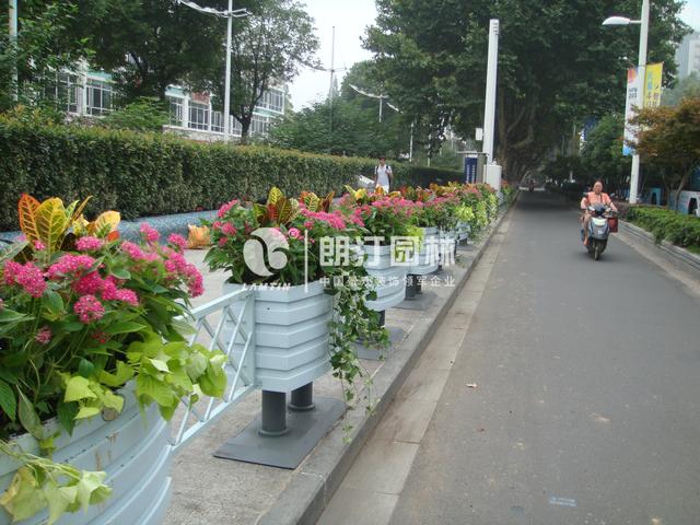 為南京點(diǎn)贊！擦亮生態(tài)之城名片！