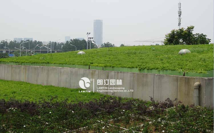 合肥南站屋頂綠化