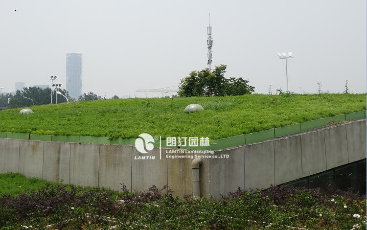 屋頂綠化工程案例