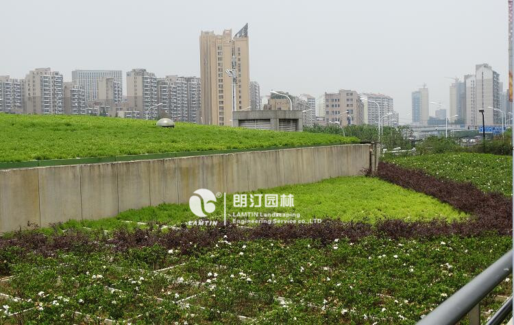 合肥南站屋頂綠化