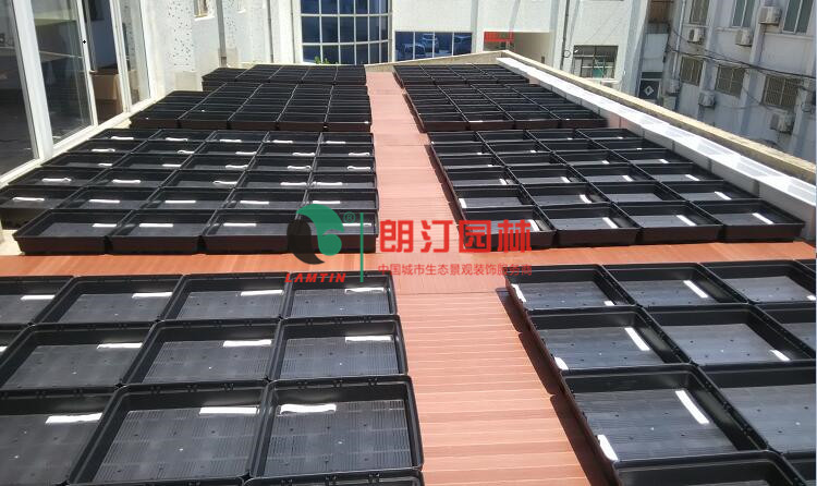 江蘇徐州豐縣屋頂綠化案例 江蘇徐州豐縣屋頂綠化案例