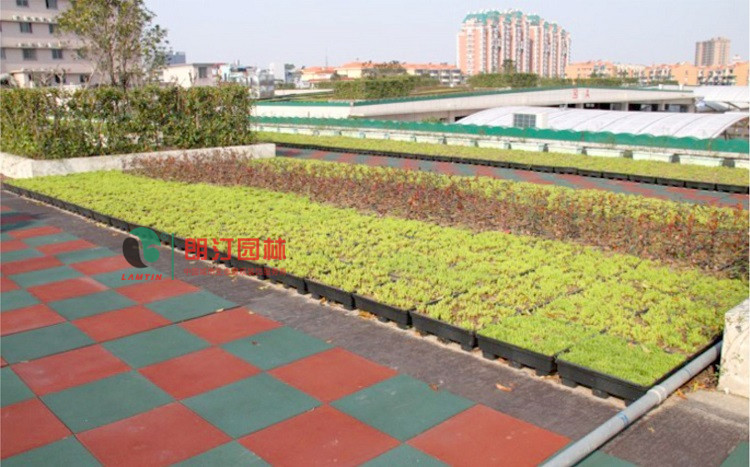 住宅樓房露臺(tái)綠化案例 住宅樓房露臺(tái)綠化案例