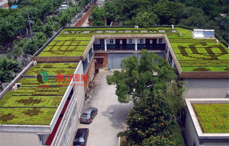 江蘇徐州豐縣屋頂綠化案例 江蘇徐州豐縣屋頂綠化案例