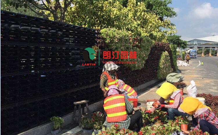 廈門金磚會議植物墻案例