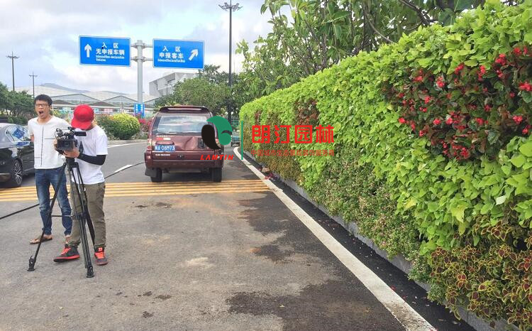 廈門金磚會議植物墻案例