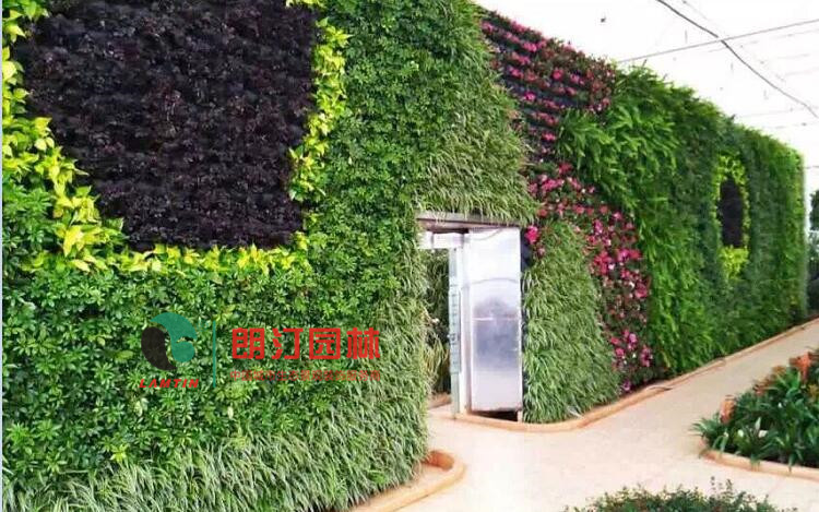 7朗汀園林室內植物墻綠化工程