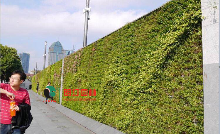 上海外灘花墻綠化景觀工程