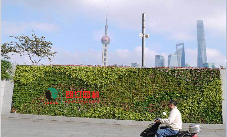 墻面立體綠化案例