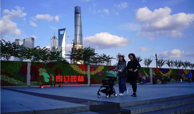 墻面立體綠化案例