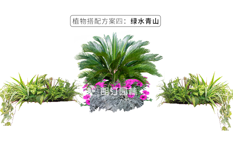 19款畫鏡組合花箱_21 19款畫鏡組合花箱_21