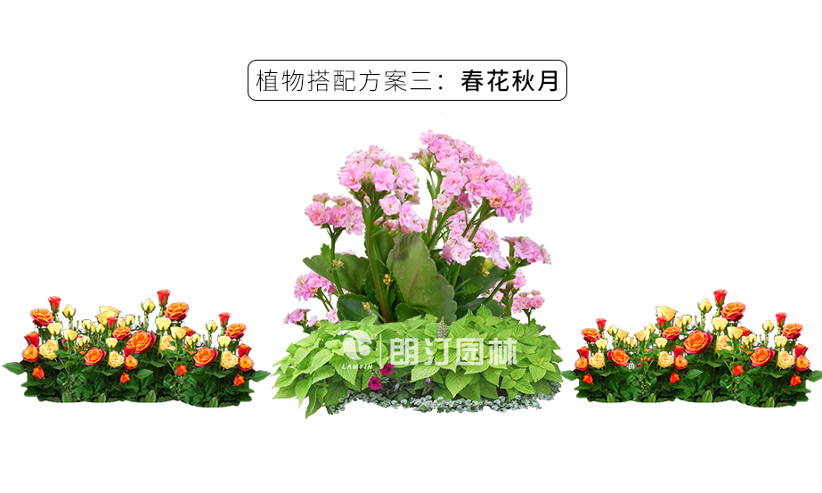 19款畫鏡組合花箱_20 19款畫鏡組合花箱_20