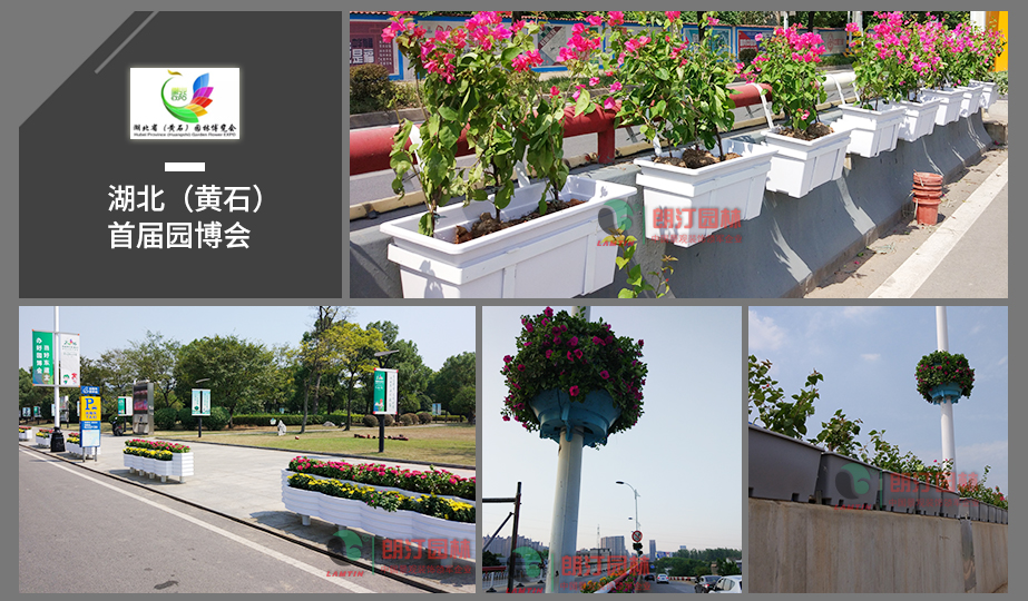 4 湖北園博會(huì)立體綠化工程案例 4 湖北園博會(huì)立體綠化工程案例