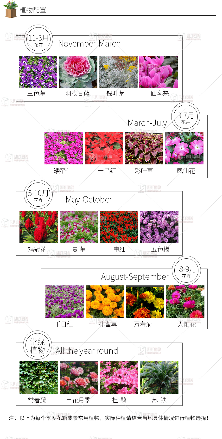 道路綠化專業(yè)植物配置方案 花箱種什么植物