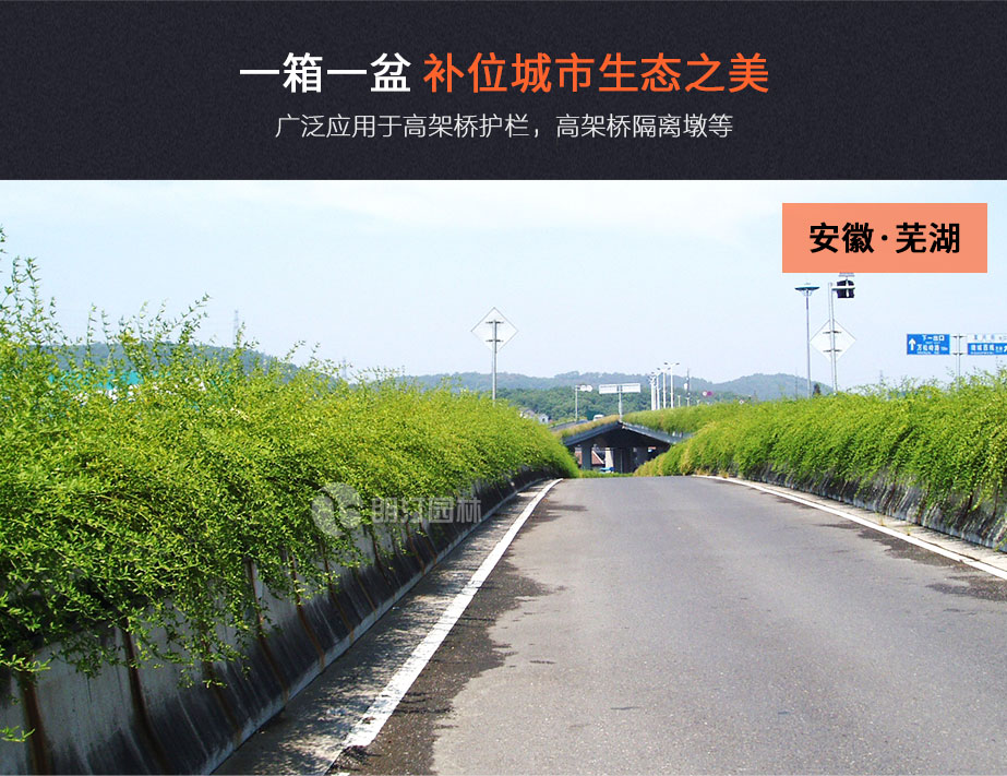 高架橋掛式花盆 高架橋掛式花盆