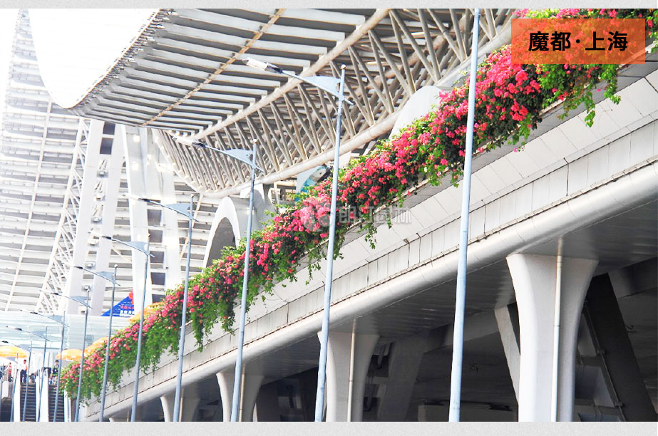 高架橋 花盆 高架橋 花盆