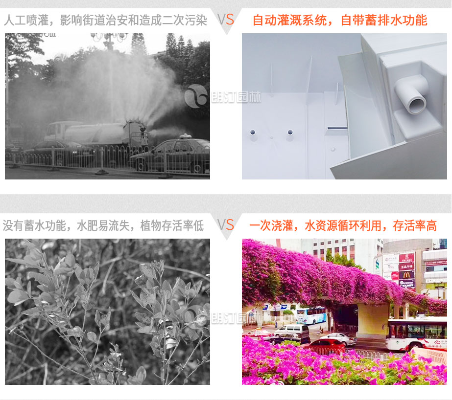 高架橋綠化植物 高架橋綠化植物