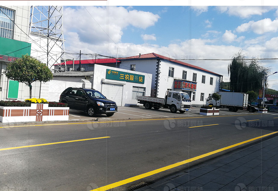 馬路兩邊道路綠化