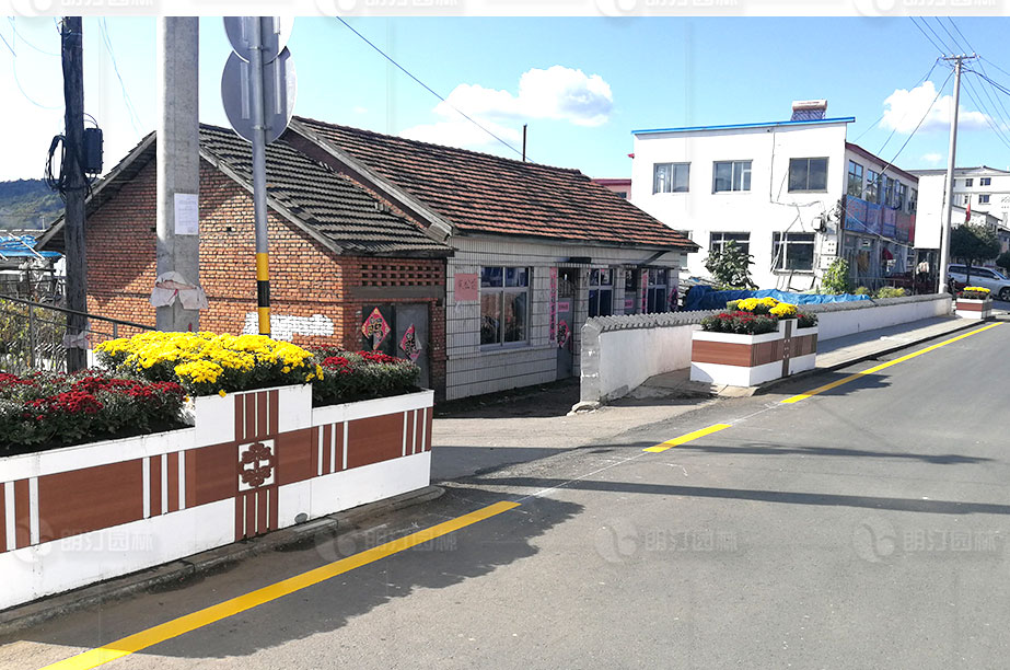 特色鄉(xiāng)鎮(zhèn)道路花箱景觀