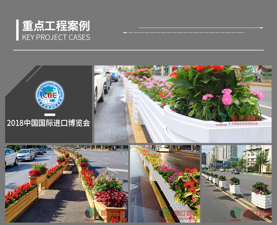 1 上海進(jìn)博會道路綠化案例 1 上海進(jìn)博會道路綠化案例