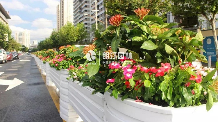 上海進(jìn)博會(huì)生態(tài)空間規(guī)劃落地項(xiàng)目 上海進(jìn)博會(huì)生態(tài)空間規(guī)劃落地項(xiàng)目