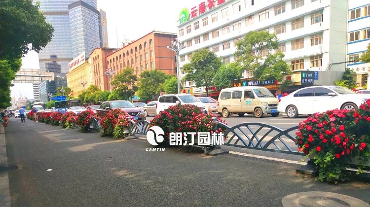 朗汀園林馬槽花箱 朗汀園林馬槽花箱