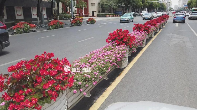 朗汀園林馬槽花箱 朗汀園林馬槽花箱