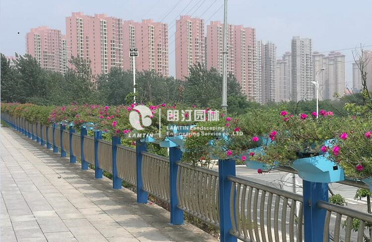 鞍式護(hù)欄花盆