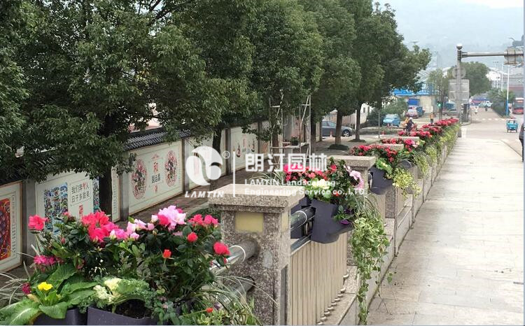 道路隔離護(hù)欄綠化案例