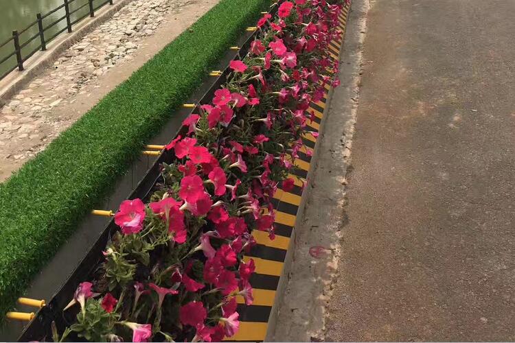 邊坡綠化案例,護(hù)坡綠化案例