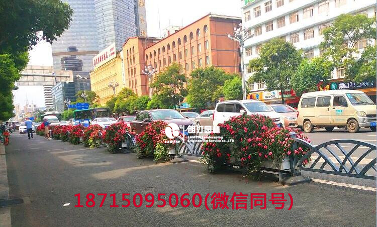 機非隔離帶綠化花箱圖片
