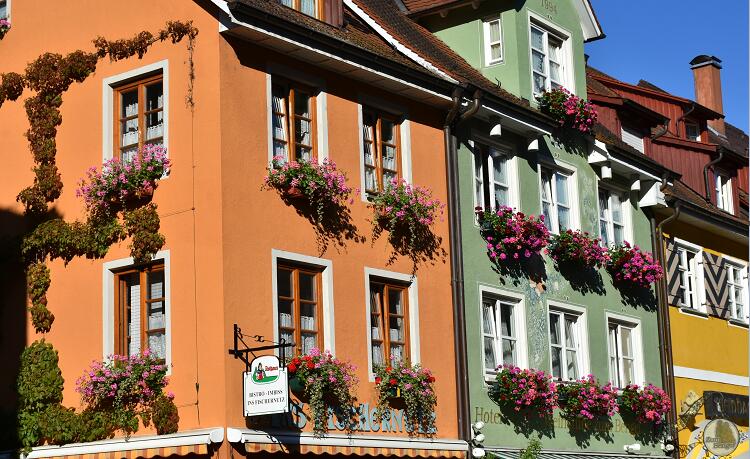 窗臺陽臺綠化經(jīng)典案例 窗臺陽臺綠化經(jīng)典案例