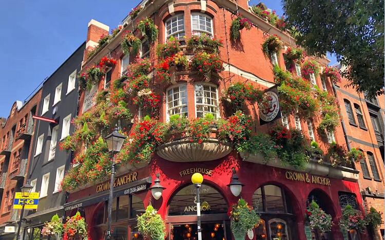 商業(yè)街道窗臺陽臺綠化種植花盆 商業(yè)街道窗臺陽臺綠化種植花盆