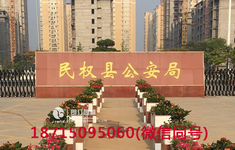 朗汀花箱進(jìn)駐民權(quán)縣 打造廣場花箱景觀 朗汀花箱進(jìn)駐民權(quán)縣 打造廣場花箱景觀