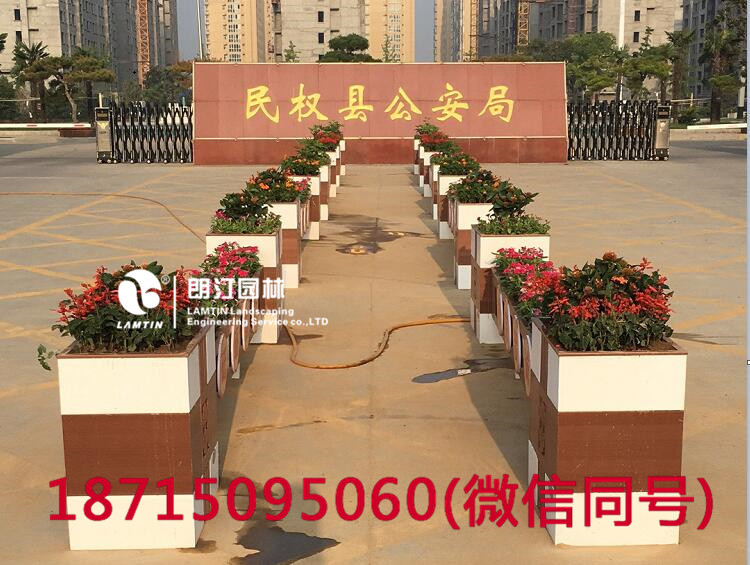 朗汀花箱進(jìn)駐民權(quán)縣 打造廣場花箱景觀 朗汀花箱進(jìn)駐民權(quán)縣 打造廣場花箱景觀
