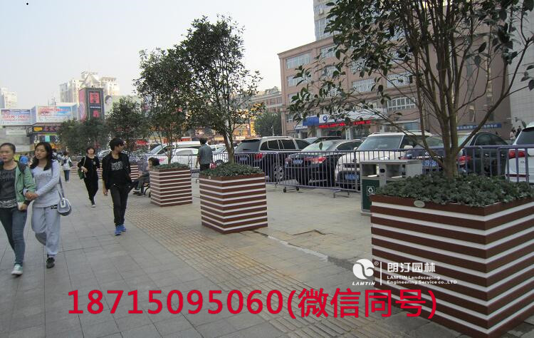 步行街的道路景觀效果 步行街的道路景觀效果