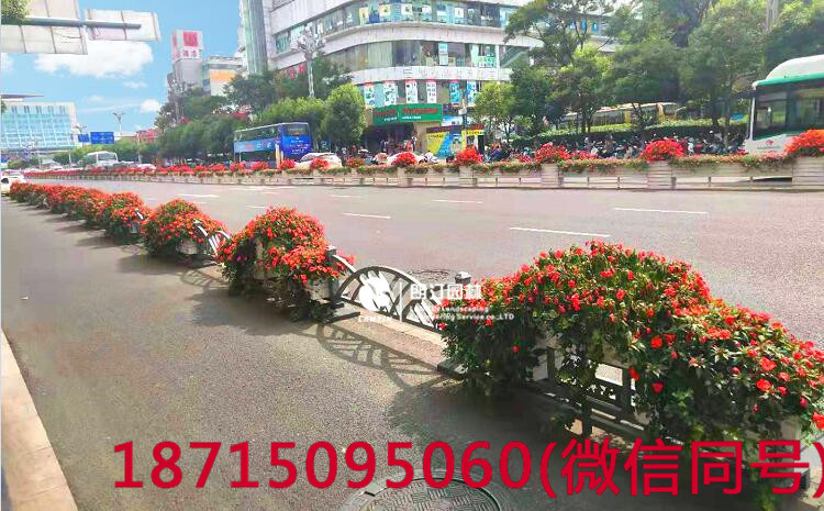 云南昆明北京路花箱品字型花箱 云南昆明北京路花箱品字型花箱