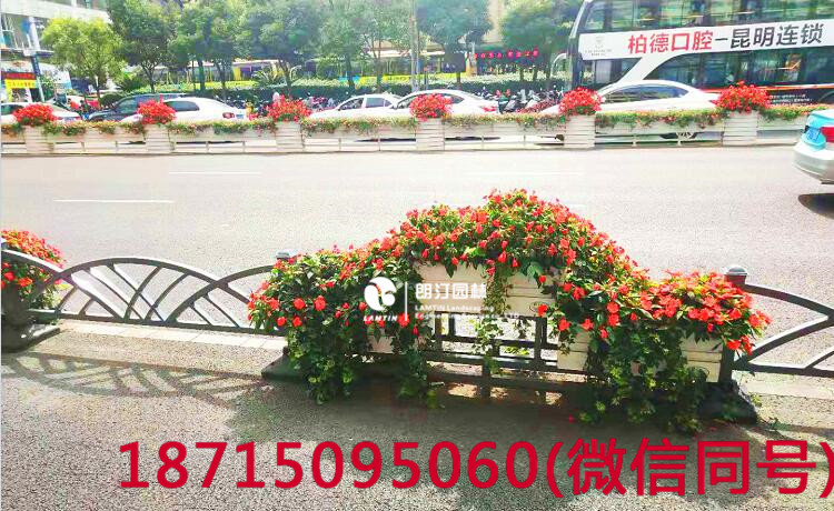 云南昆明北京路花箱 云南昆明北京路花箱