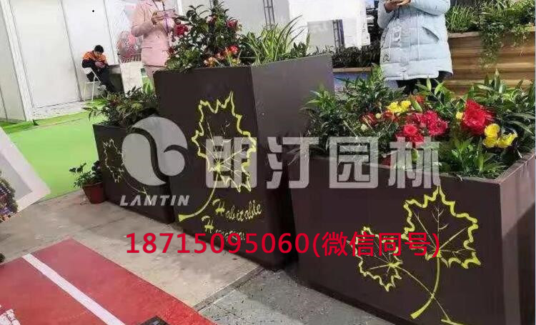 傾城花箱 傾城花箱