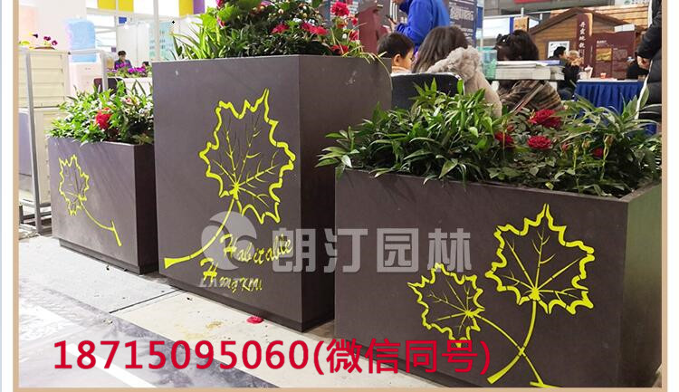 朗汀新品傾城花箱 朗汀新品傾城花箱