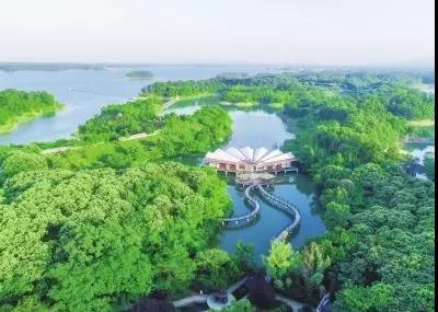 1576742218505339.jpg 微信圖片_20191219155426.jpg