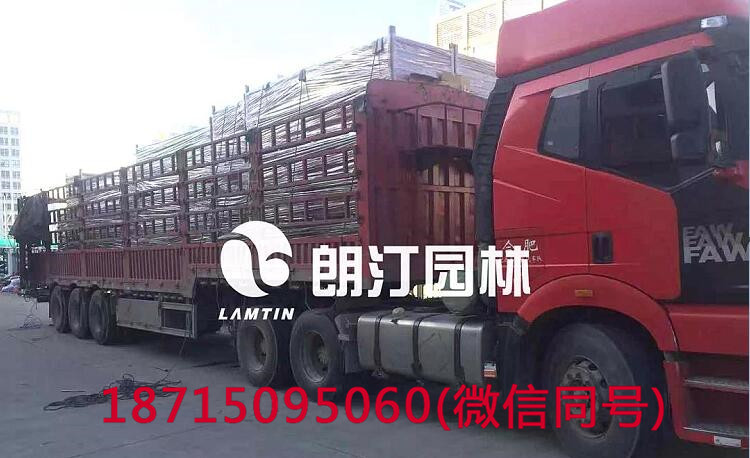 城市生態(tài)空間裝飾 城市生態(tài)空間裝飾