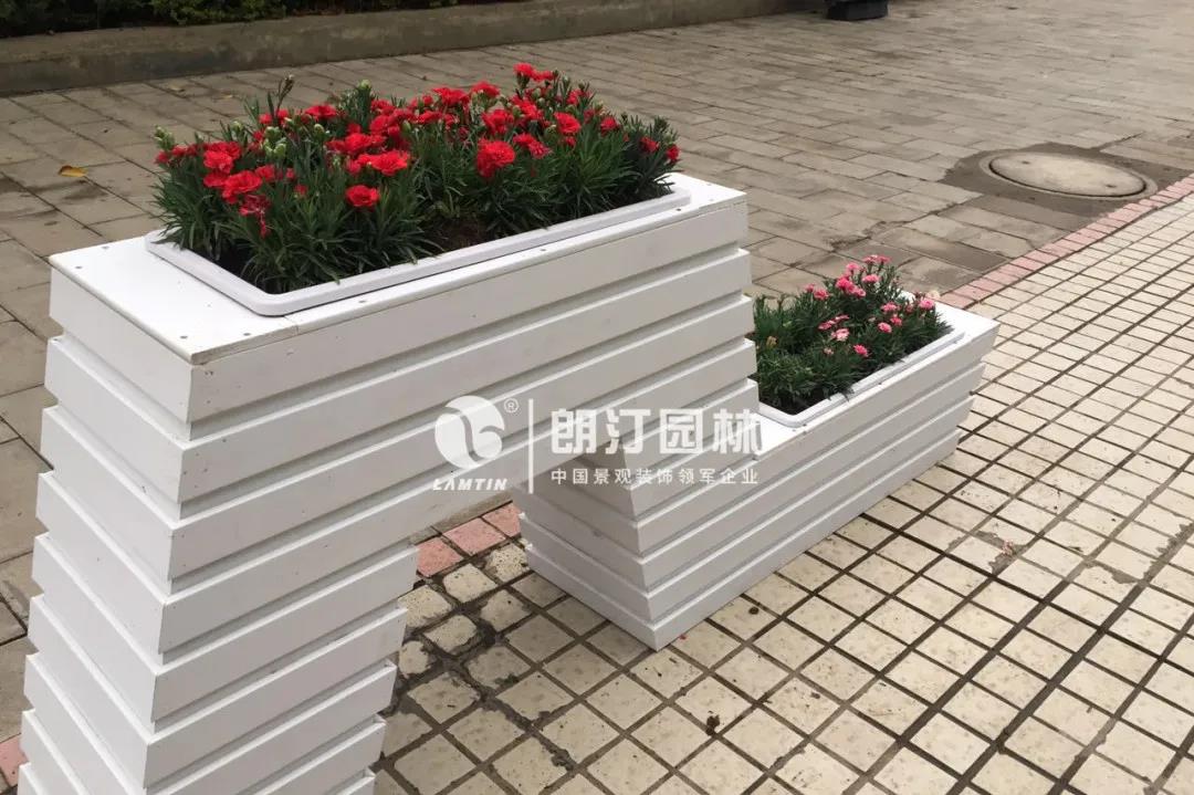 1595232347848690.jpg 1595232347848690.jpg