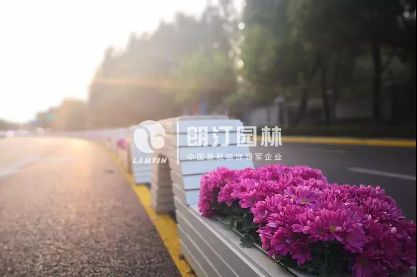 1595232427281349.jpg 1595232427281349.jpg