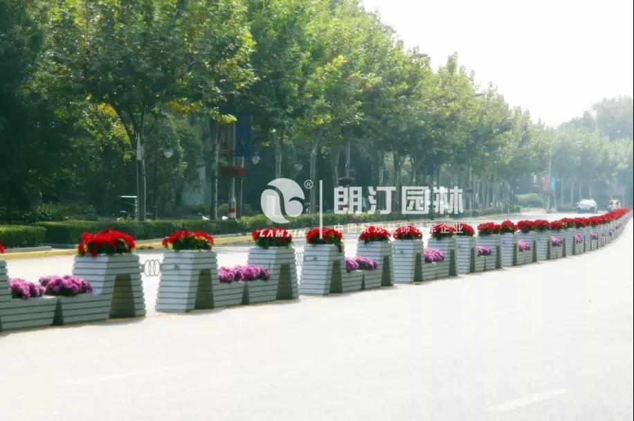 1595232447191421.jpg 1595232447191421.jpg