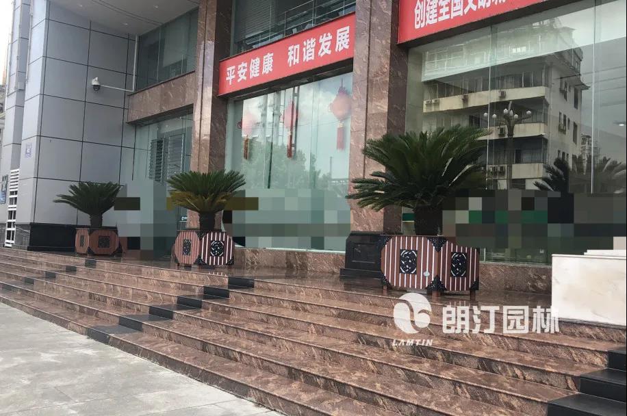 1595233436974657.jpg 1595233436974657.jpg