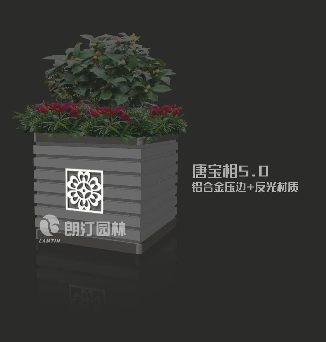 1595233595558733.jpg 1595233595558733.jpg